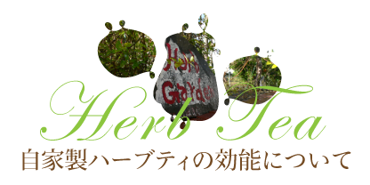 自家製ハーブティの効能